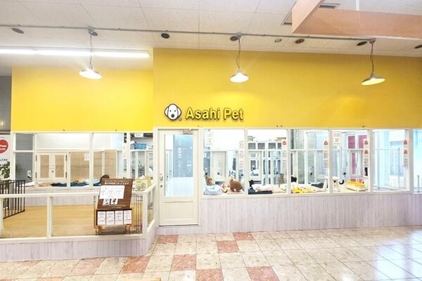 アサヒペット都築店