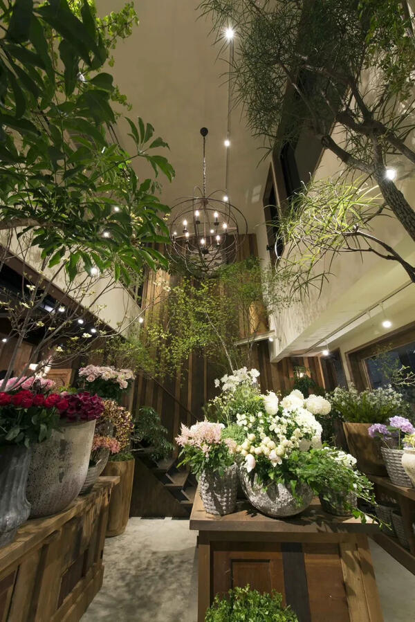 Fleur Universelle/Les Grands Arbres