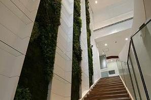 CURIOUS　大阪心斎橋 複合商業ビルの内装・外観画像