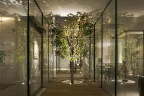 中庭 イメージのデザイン事例 店舗デザイン Com