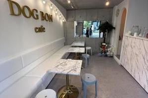 DOG BON cafe カフェの内装・外観画像