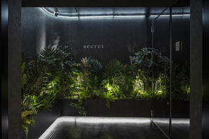 Bar Secret バーの内装・外観画像