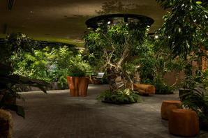 LUFTBAUM　28F　その２ その他（飲食）の内装・外観画像