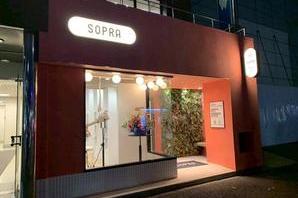 SOPRA 六本木店 ペットショップ・ペットサロンの内装・外観画像