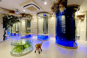 mindfulness consulting 瞑想スタジオの内装・外観画像