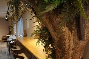 IZA江の島ゲストハウス（カフェラウンジ） カフェラウンジの内装・外観画像