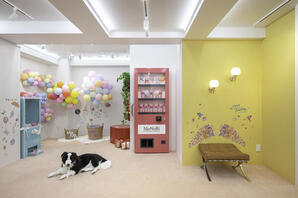 MoNoRi by REOCHE RU SAKURA トリミングサロン＆ドッグフォトスタジオの内装・外観画像