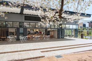 アスリート発酵LAB MAO RINK DINING カフェダイニングレストランの内装・外観画像