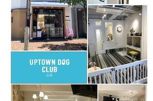 UPTOWN　DOG CLUB ペットショップ・ペットサロンの内装・外観画像
