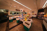 八百鮮 空堀店 生鮮食材専門店 [大阪メトロ 谷町六丁目] 店舗デザイン.COM